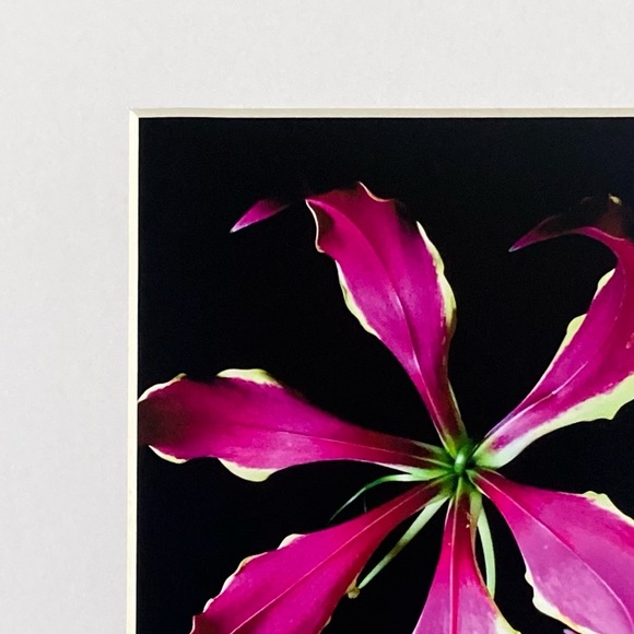 “YOU SPIN ME ROUND” ~ ORIGINAL ART by ~ @lisamichellebeckerphotography - Picture 2 of 13